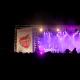 Strawberry Fields Festival pic