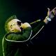 Sean Paul. Photo copyright: Simon Redley