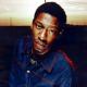 Roots Manuva (aka Rodney Smith)